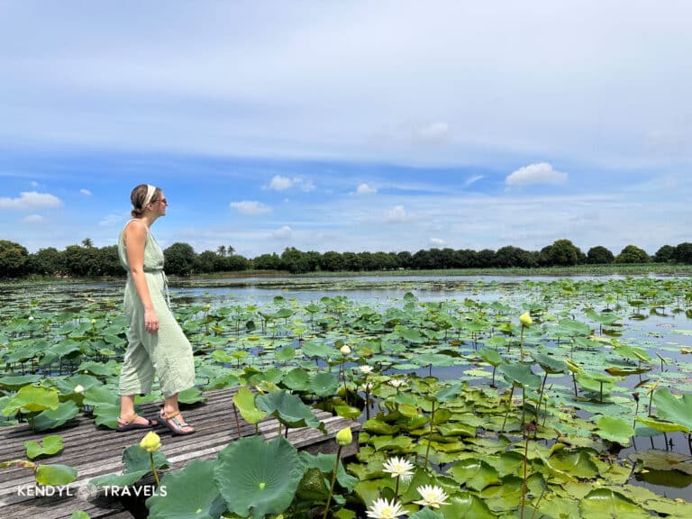 Your Ultimate 7 Day Thailand Itinerary: Bangkok, Chiang Mai & Beyond
