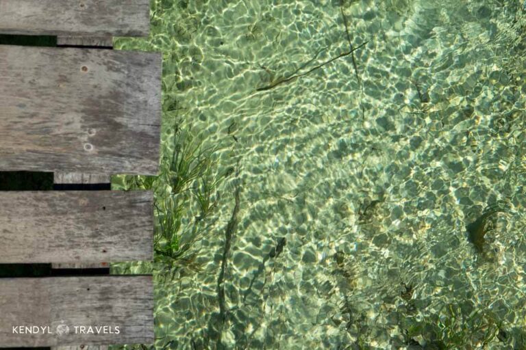Bacalar Cenotes: Complete Guide to the Best Swimming Spots