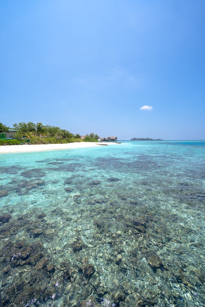 A serene tropical beach with clear turquoise waters and a distant horizon.