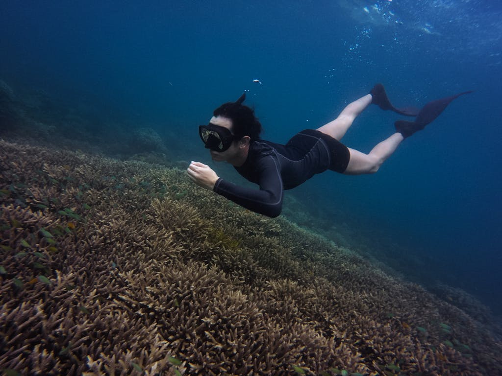 Diver snorkeling over vibrant coral reef showcasing marine life exploration.