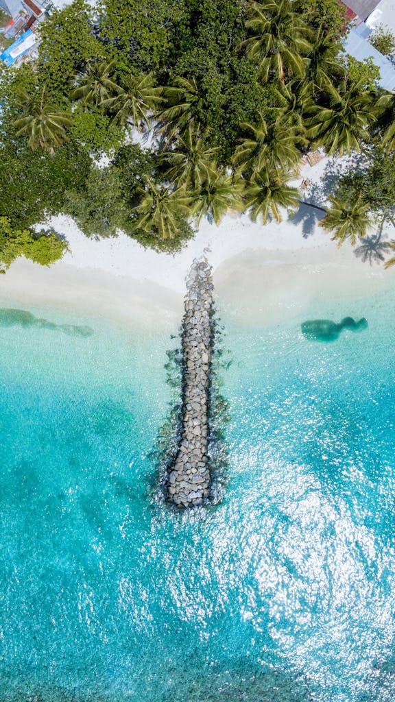 Stunning aerial view of a tropical beach in the Maldives with clear turquoise waters and lush palm trees.